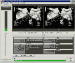 Windows Media Player
